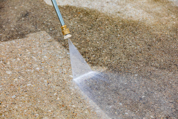 Best Animal Enclosure Cleaning  in Southmayd, TX